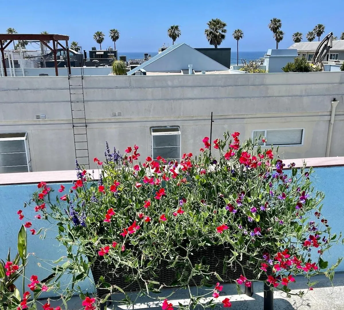 Luxe 2-Br With King Suite, Rooftop, Steps From Beach Los Angeles 0*,  United States